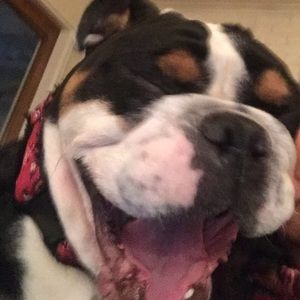 Meet your Posher, Eben